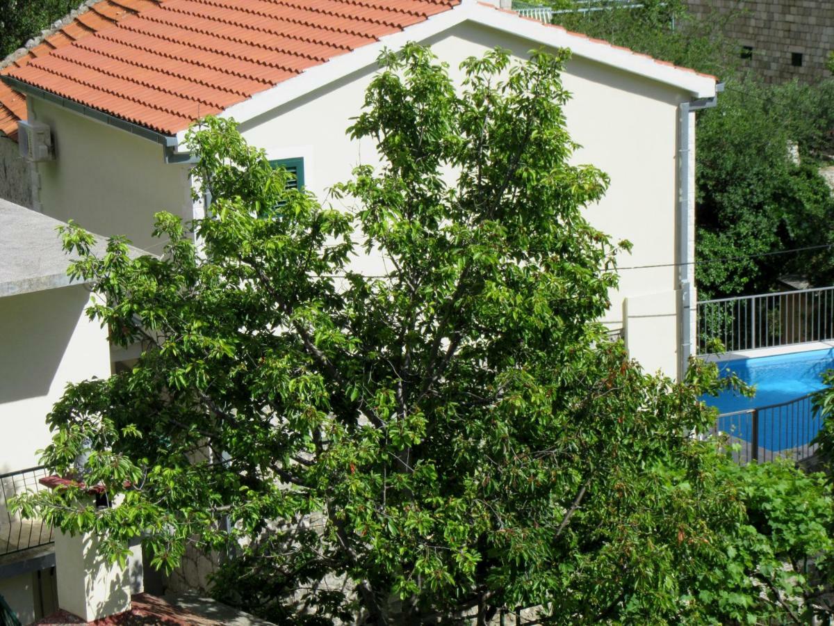 Villa Maja Tučepi Exterior foto